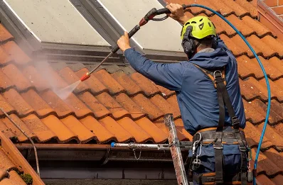 Démoussage et hydrofuge de toiture à Laveissière